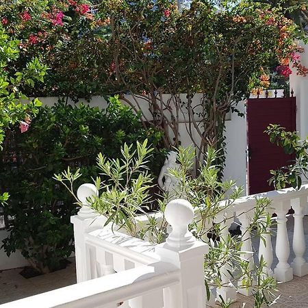 Apartamento Luminoso Con Patio Y Jardin Puerto de la Cruz  Buitenkant foto