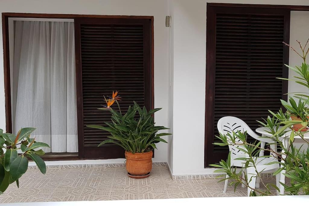 Apartamento Luminoso Con Patio Y Jardin Puerto de la Cruz  Buitenkant foto