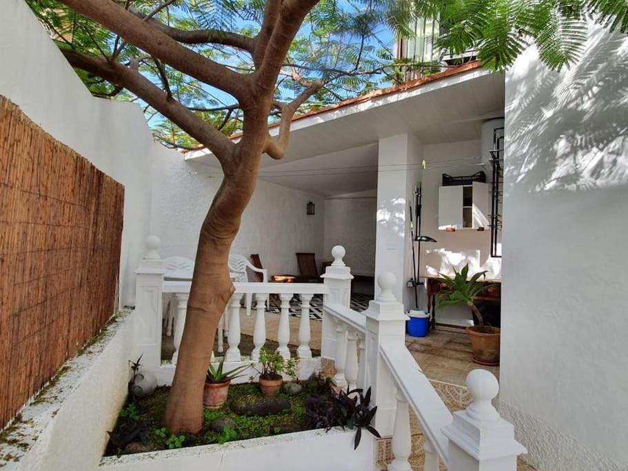 Apartamento Luminoso Con Patio Y Jardin Puerto de la Cruz  Buitenkant foto