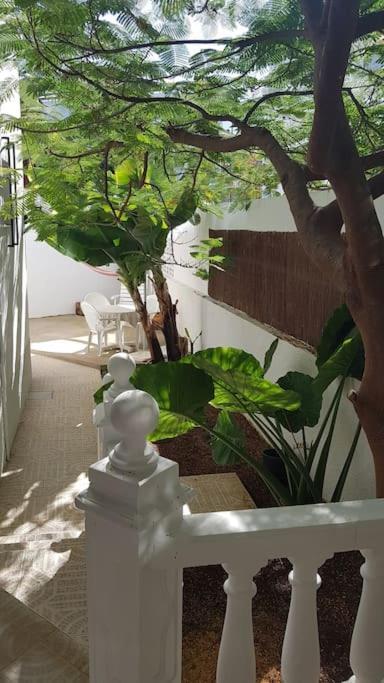 Apartamento Luminoso Con Patio Y Jardin Puerto de la Cruz  Buitenkant foto